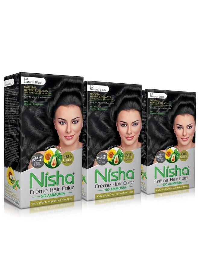 Hair Colour, No Ammonia Formula Creme Hair Color, 60Gm + 60Ml - Black Shade 1.0 (Pack Of 3)