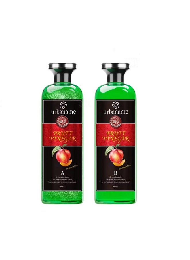 Fruit Vinegar Black Gel Color Professions Hair Color Pack Of 2