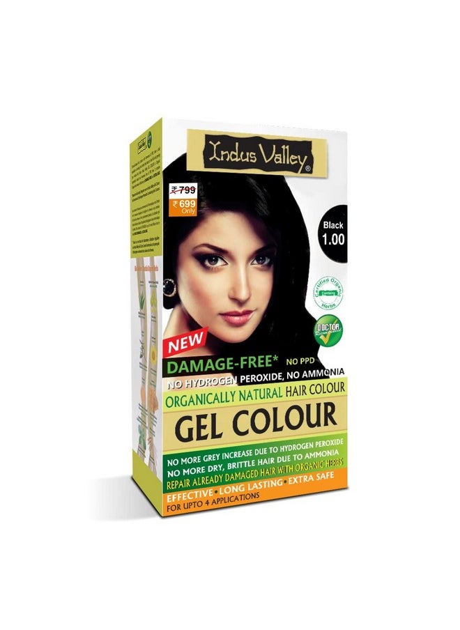 Damage Free Natural Gel Hair Colour For Women | Ammonia & Ppd Free Organic Hair Colour With 100% Grey Coverage, Long Lasting Conditioning Hair Color | Black 1.00-220 Ml