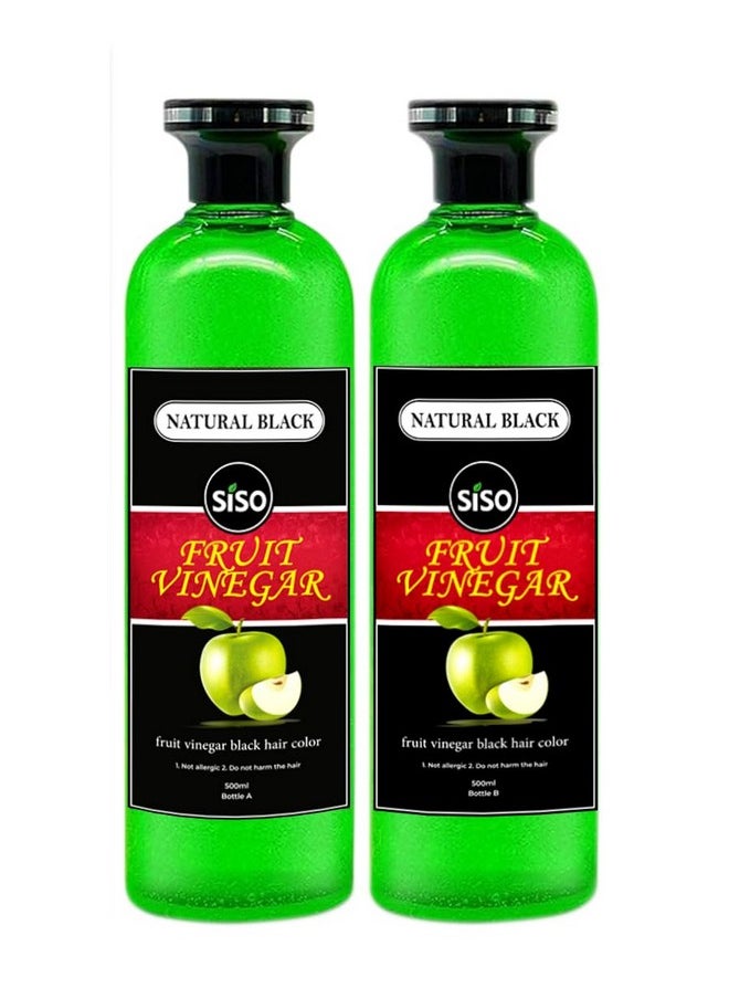 Fruit Vinegar Hair Color, Natural Black Color Dye For Hair Care, Natural Ammonia Free Color Dye (500Ml X 2) | Made In India