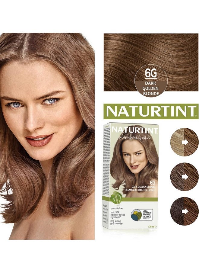 Permanent Hair Colour Dark Blonde 6G | 92% Natural Ingredient | 100% Grey Coverage Long Lasting Hair Colour | Usda Certified | Ammonia Free Vegan Hair Color Gel - 6G Dark Golden Blonde 170Ml