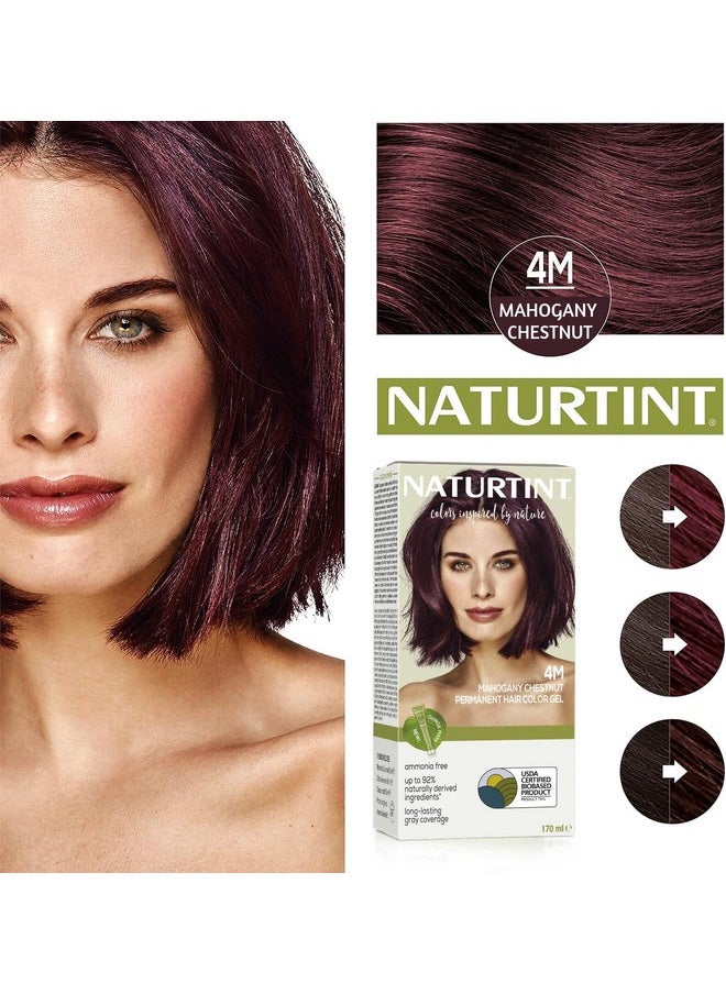 Permanent Hair Colour Mahogany Brown 4M | 92% Natural Ingredient | 100% Grey Coverage Long Lasting Hair Color | Usda Certified | Ammonia Free Vegan Hair Color Gel 4M Mahogany Chestnut 170 Ml