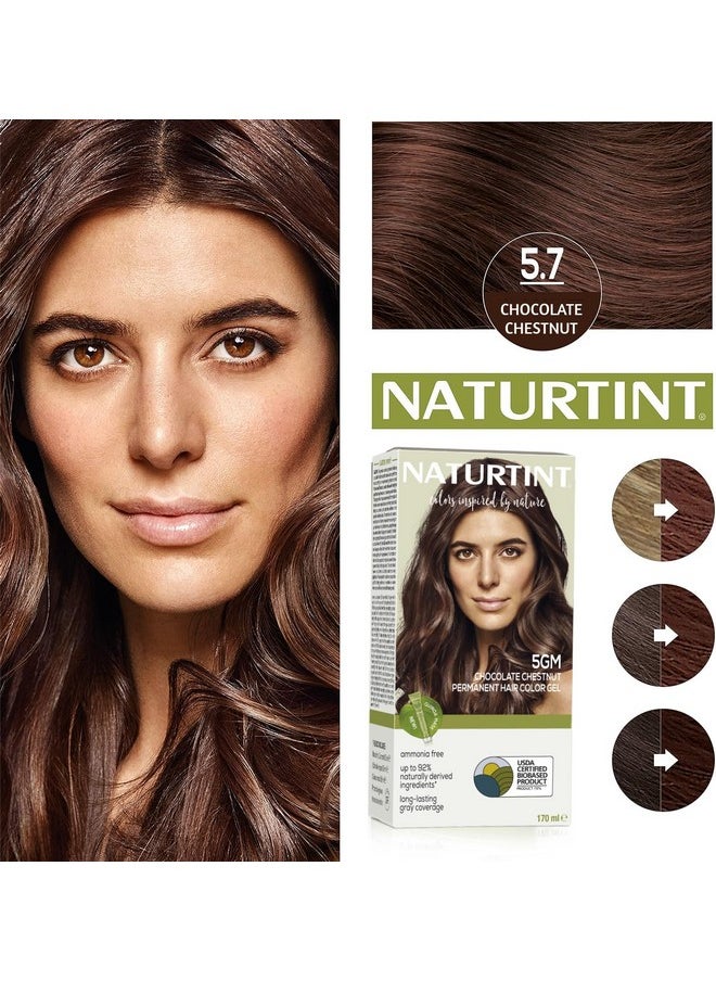 Permanent Hair Colour Chocolate Brown 5Gm | 92% Natural Ingredients | 100% Grey Coverage Long Lasting Hair Color | Usda Certified | Ammonia Free Hair Color Gel 5Gm Chocolate Chestnut 170Ml