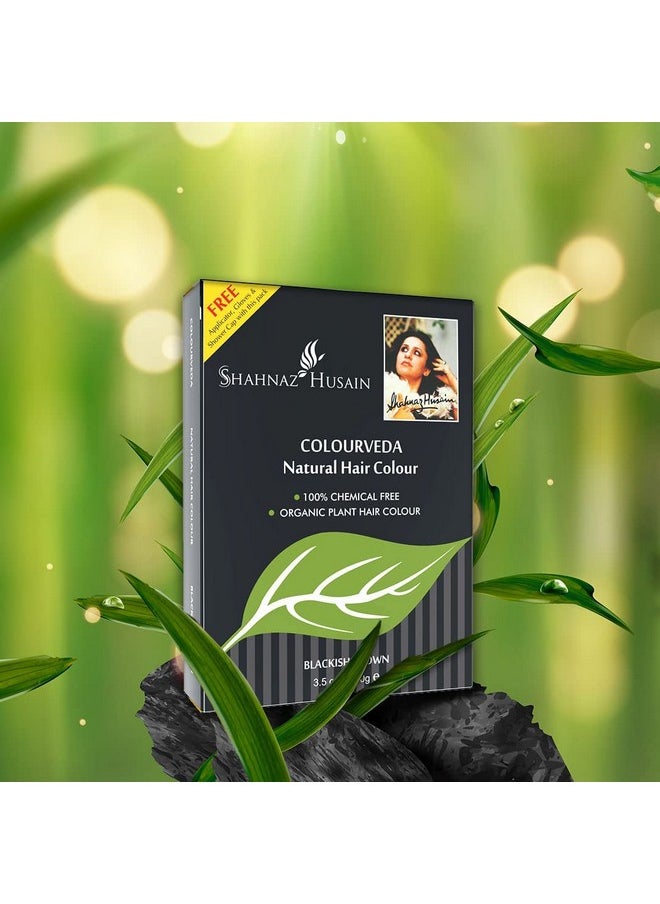 'S Vedic Solutions Colourveda Natural Hair Color, 100G (Pack Of 3) (Blackish Brown)