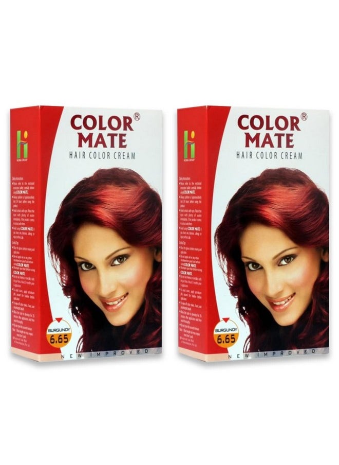 Hair Color Cream, Burgundy, 130Ml (Pack Of 2)