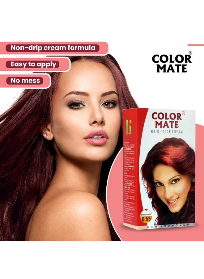 Hair Color Cream, Burgundy, 130Ml (Pack Of 2)