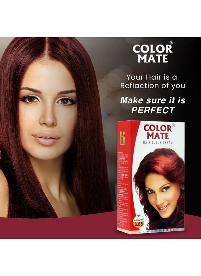 Hair Color Cream, Burgundy, 130Ml (Pack Of 2)