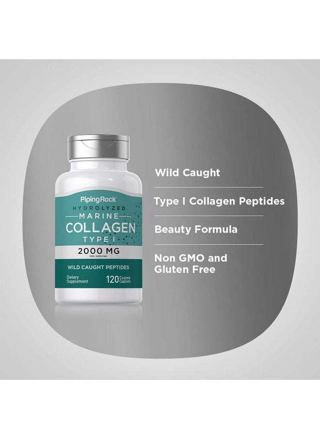 Piping Rock Marine Collagen Peptides | 2000mg | 120 Coated Caplets | Wild Caught Type 1 Hydrolyzed Supplement | Non-GMO, Gluten Free