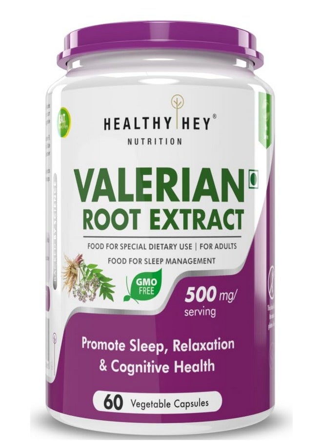 HealthyHey Nutrition Valerian Root Extract - 60 Vegetable Capsules