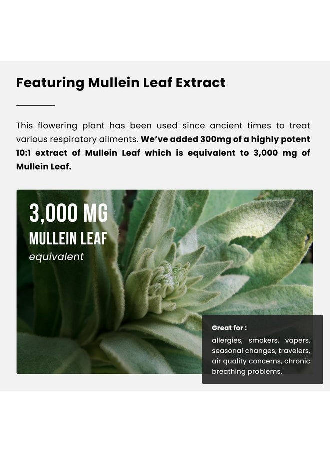 Lung Detox & Cleanse | Mullein Leaf Capsules | 15-In-1 Lung Health Formula for Respiratory, Immune & Mucus Support | 10:1 Mullein Leaf Extract (3000mg Equivalent) | Vegan Lung Support Supplement