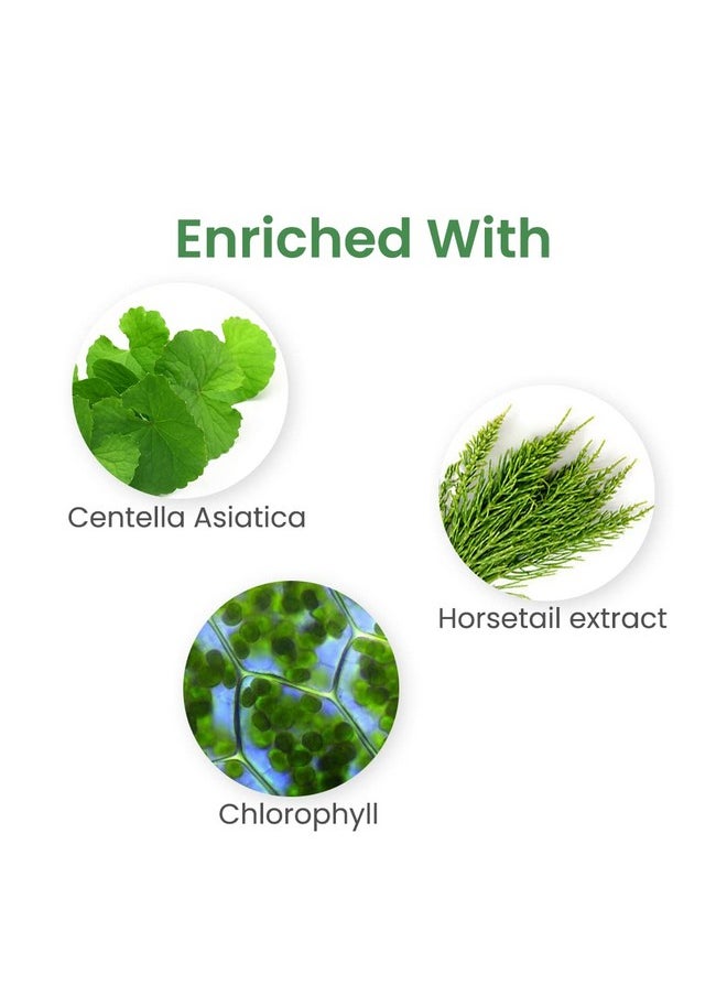 Phyto Gel With Centella Asiatica & Horsetail Extract | Fade Scars | Fight Acne Breakouts | Heals & Hydrates Skin | Oily & Sensitive Skin For Men & Women - 50 Ml