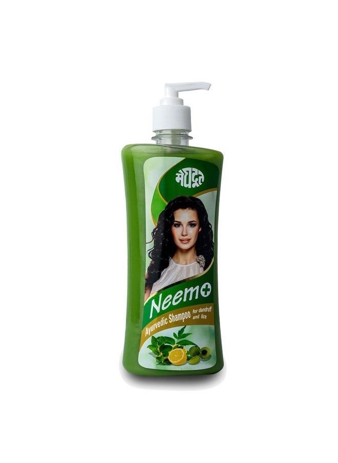 Neem Plus Ayurvedic Shampoo Enriched With Extract Of Neem, Alma And Lemon For Dandruff Control And Lice Control Scalp, 500Ml, Pack Of 1