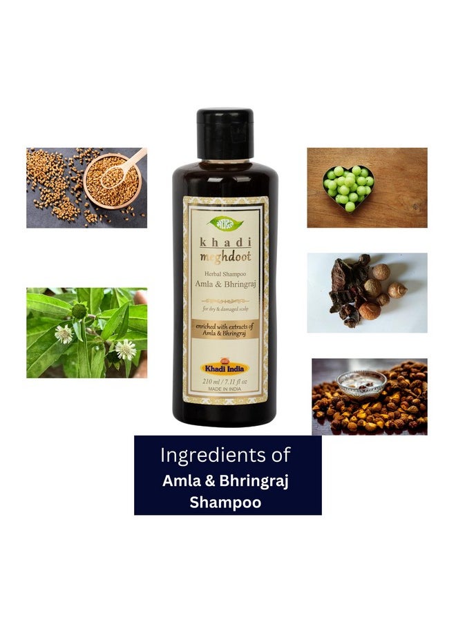 Amla And Bhringraj Shampoo Enriched With Exracts Of Amla & Bhringraj For Dry & Damage Scalp, 210Ml Each, Pack Of 2