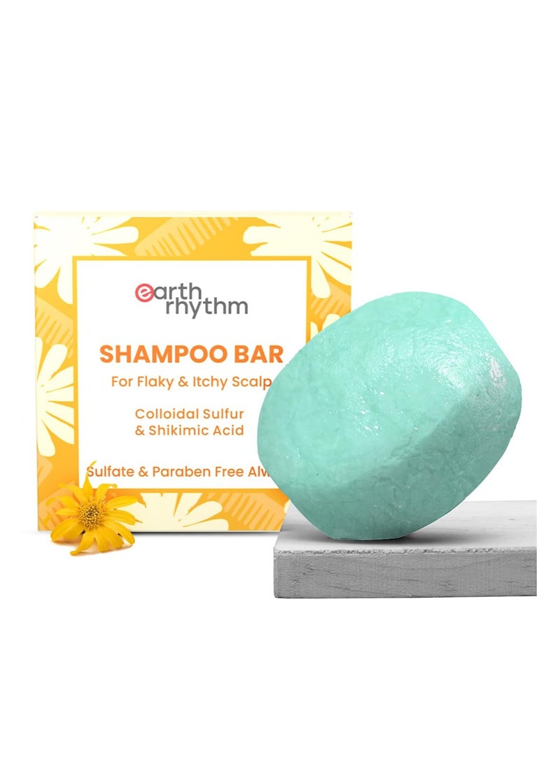 Earth Rhythm Anti-Dandruff Shampoo Bar for Itchy & Flaky Scalp | Men & Women | Contains Arnica Peppermint & Menthol Extracts | Sulphate & Paraben Free - 80gm