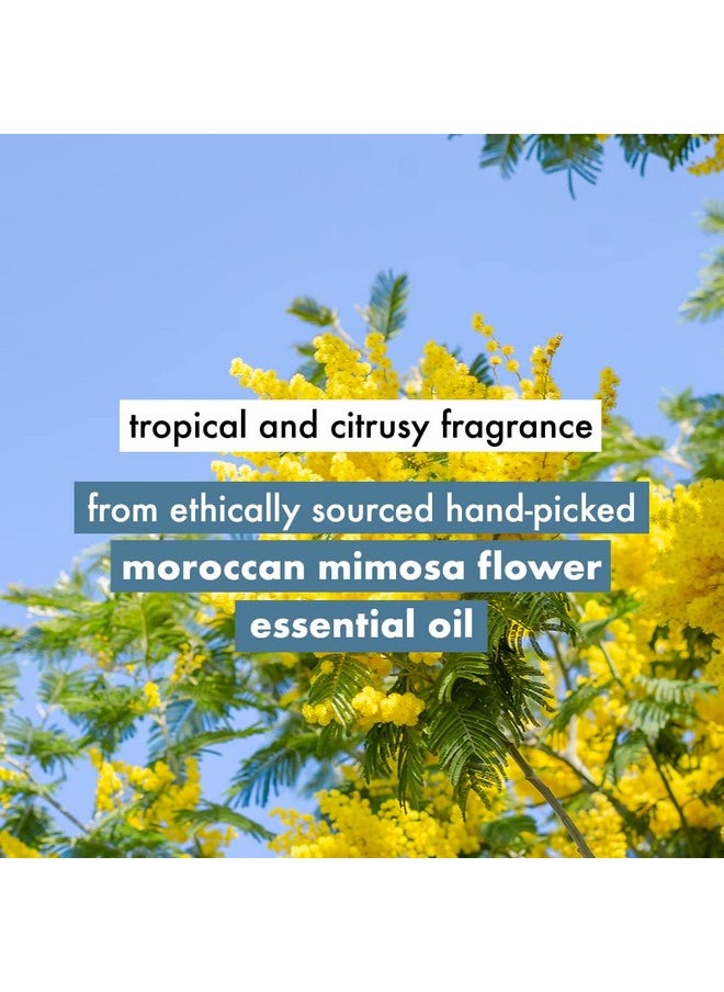 Coconut Water And Mimosa Flower Volume And Bounty Conditioner|| No Parabens|| No Dyes|| 100% Organic Coconut Oil|| 200Ml, 1 Count