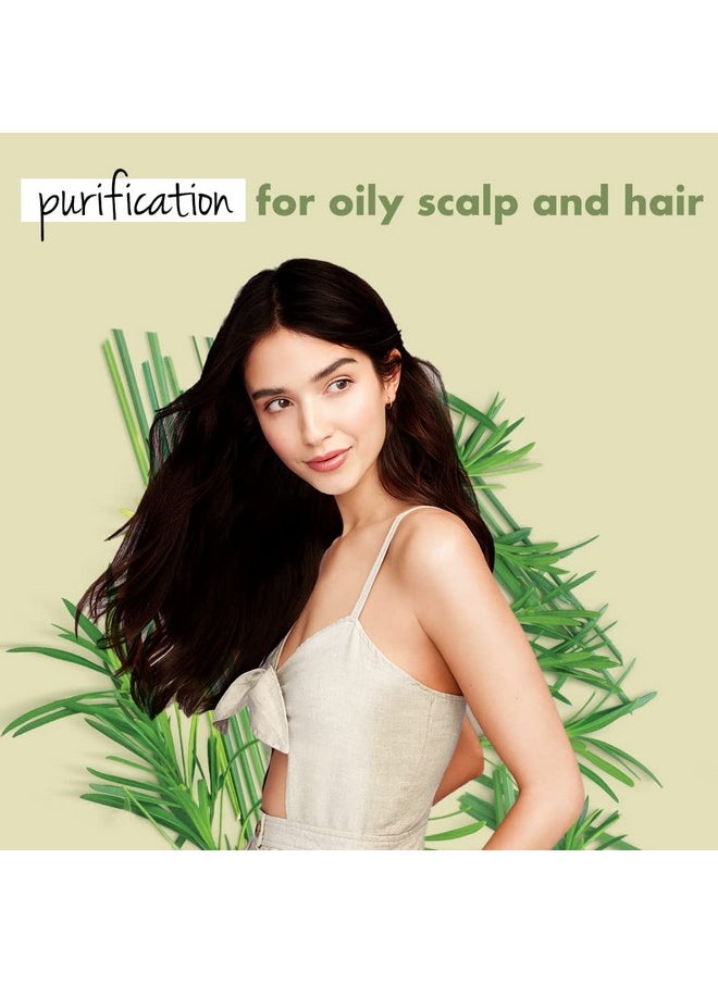Tea Tree, Peppermint & Vetiver Natural Conditioner For Oily Scalp And Hair|No Sulfates,No Paraben|200Ml,1 Count