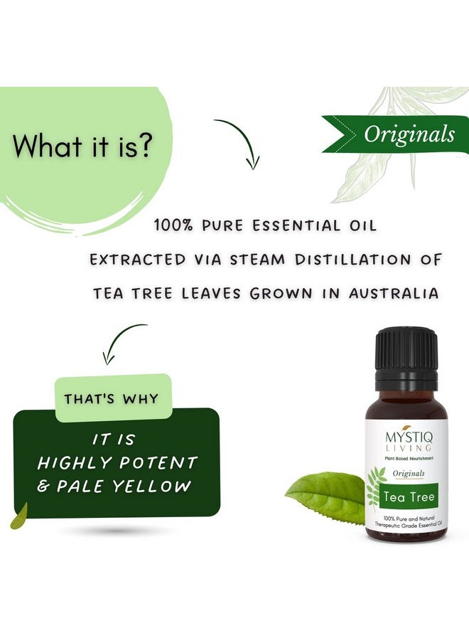 Pure Australian Tea Tree Oil (15Ml) & Extra Virgin Olive Oil (200Ml) Combo For Skin, Face, Hair Care Combo Essential Oil And Carrier Oil | 100% Pure And Natural