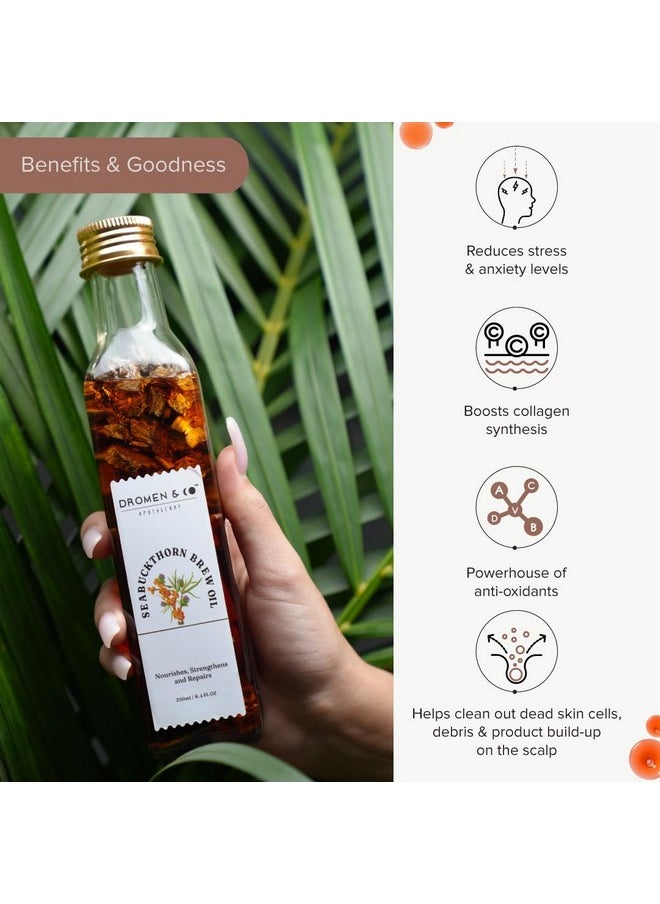 Seabuckthorn Brew Oil- Nourishes, Strengthens & Repairs | Reducing Stress & Anxiety Levels | Anti-Oxidants, Boosts Collagen Synthesis | 100% Natural Oil | 250 Ml