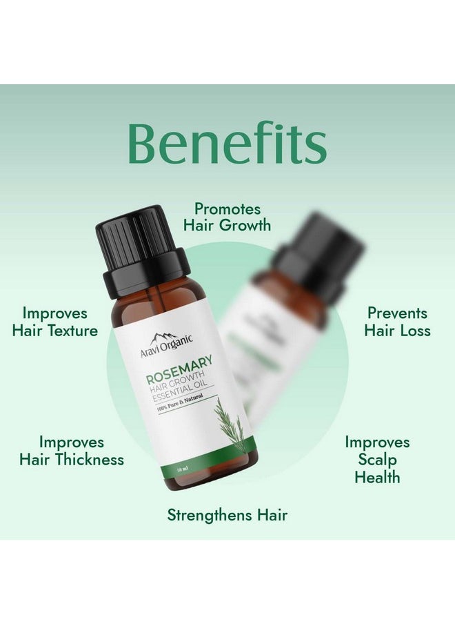 Rosemary Essential Oil For Hair Growth,Quick Hair Growth Rosemary Oil For Women And Men - 100% Pure Rosemary Leaves Oil - 50 Ml