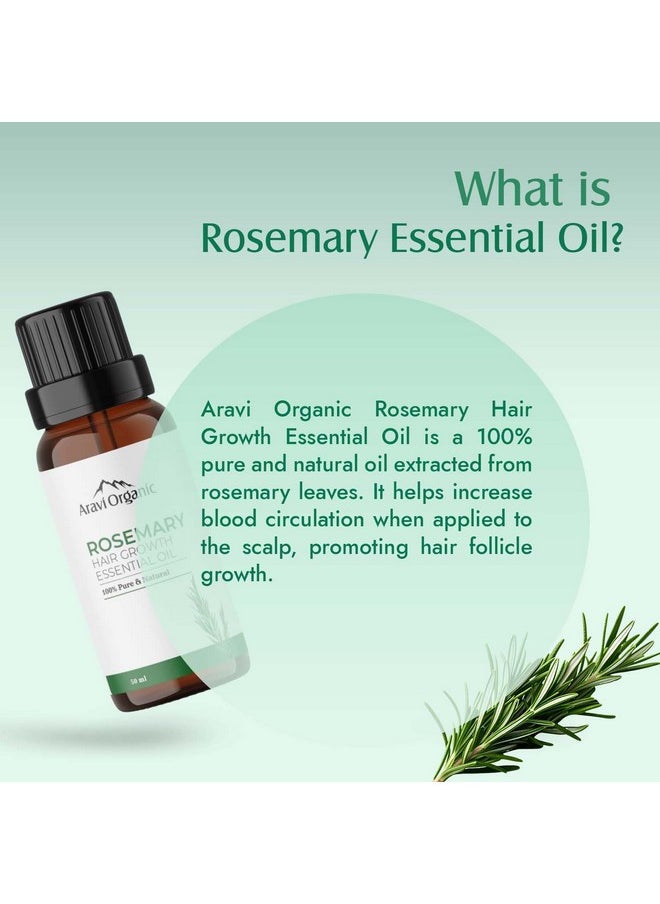 Rosemary Essential Oil For Hair Growth,Quick Hair Growth Rosemary Oil For Women And Men - 100% Pure Rosemary Leaves Oil - 50 Ml