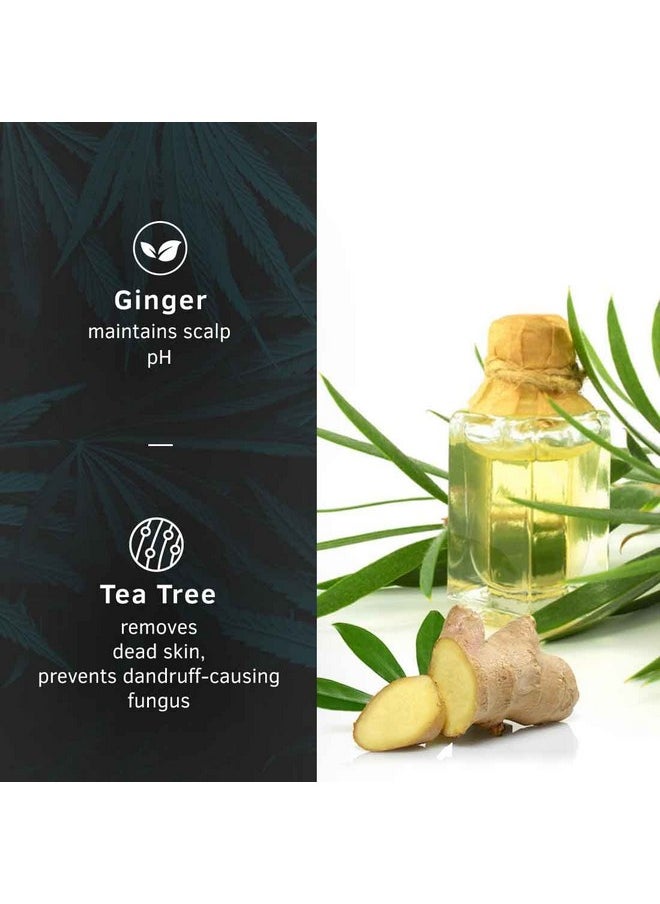 Hair Serum Anti-Dandruff - 200Ml | Fights Dandruff With Tea Tree & Ginger | Maintains Scalp Ph | Prevents Growth Of Dandruff-Causing Microorganisms| No Sulphates, No Paraben
