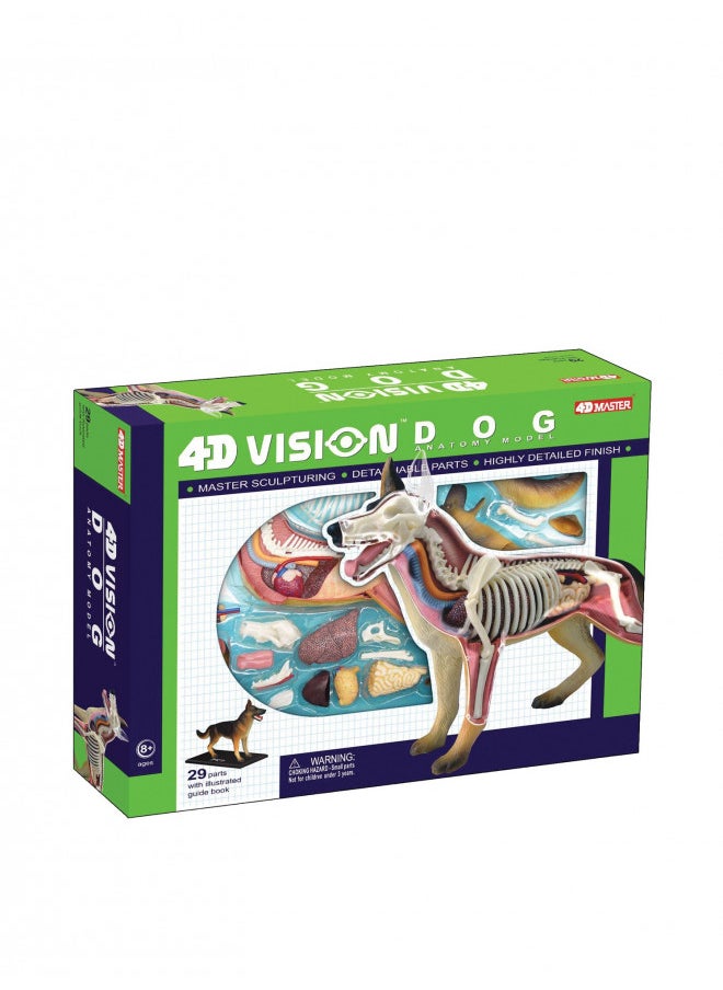 Tedco 4D Vision Dog Anatomy Model