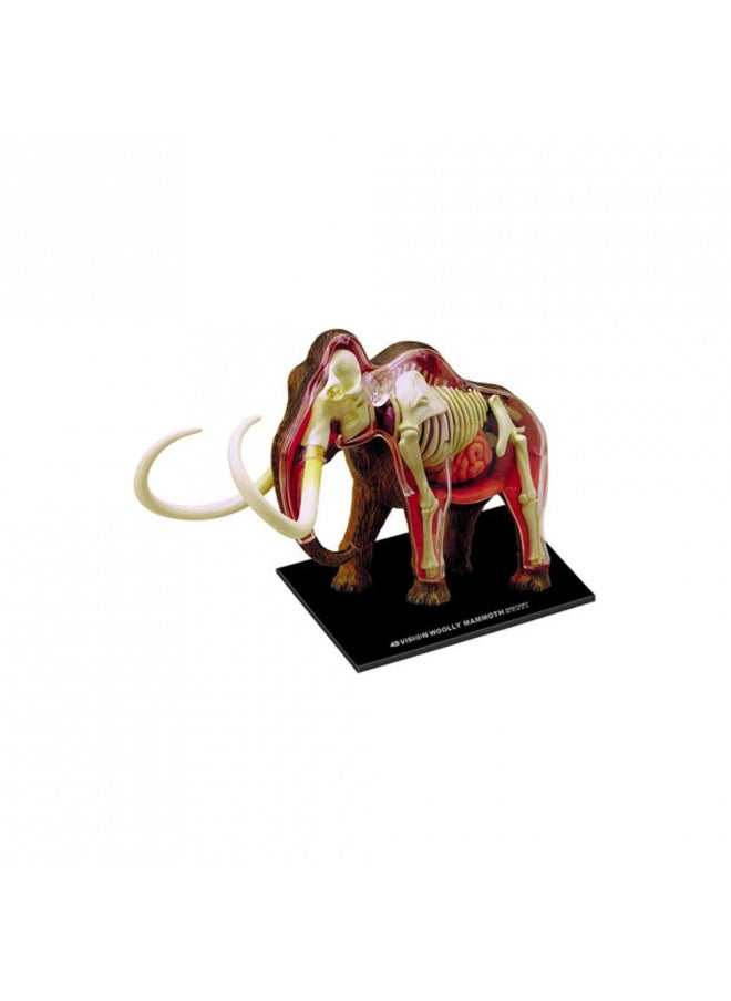 Tedco 4D Vision Woolly Mammoth Anatomy Model