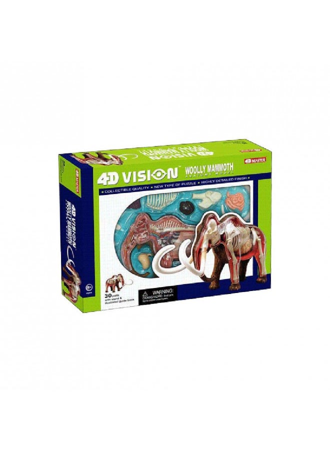 Tedco 4D Vision Woolly Mammoth Anatomy Model