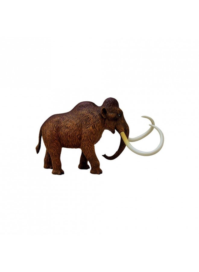 Tedco 4D Vision Woolly Mammoth Anatomy Model