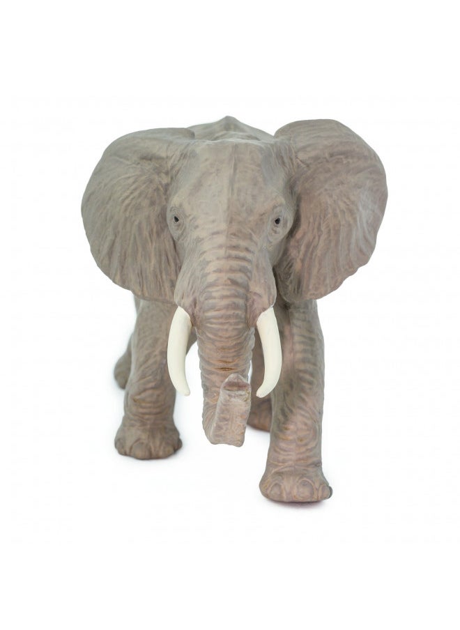 Safari Ltd Wild Safari Wildlife African Elephant