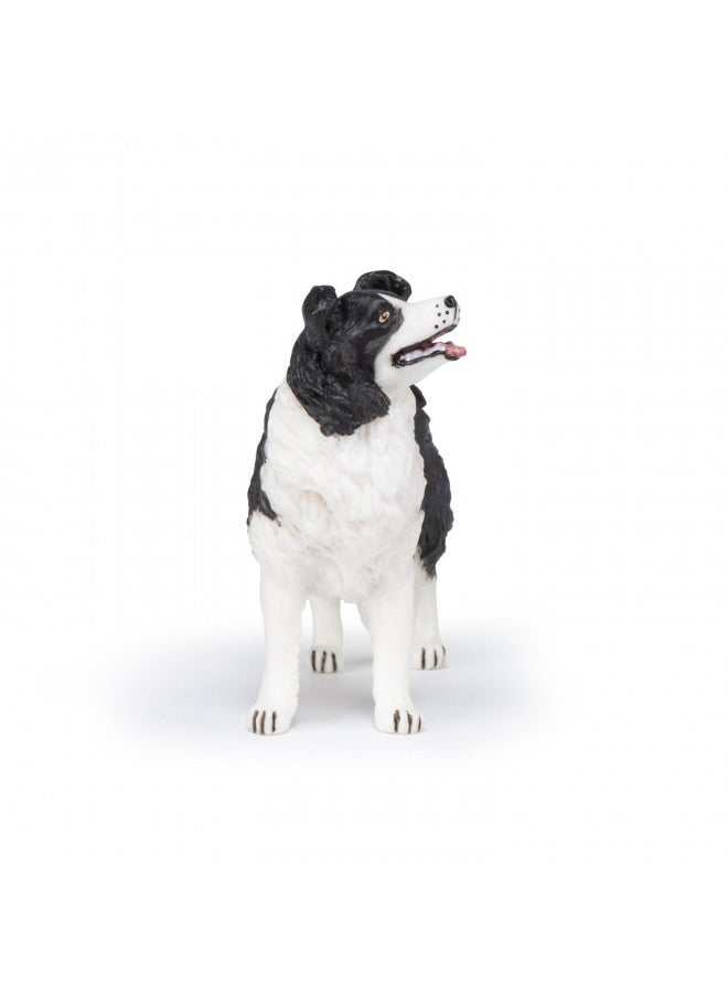 Papo - Hand-Painted - Figurine - Dogs ans Cats - Border Collie Figure-54008 - Collectible - for Children - Suitable for Boys and Girls - from 3 Years Old