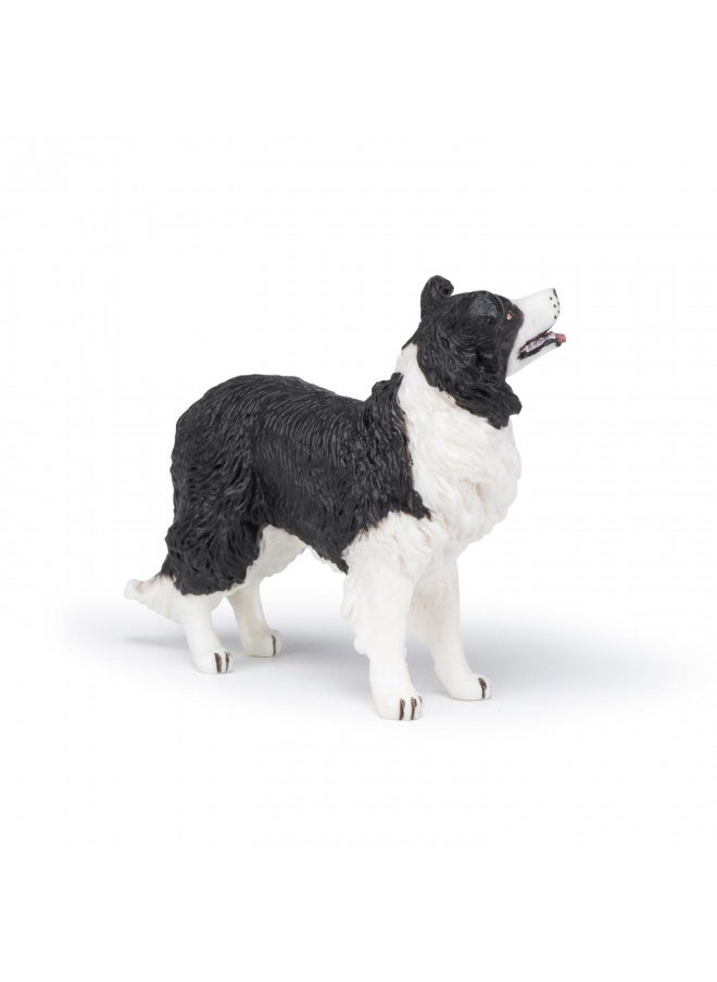 Papo - Hand-Painted - Figurine - Dogs ans Cats - Border Collie Figure-54008 - Collectible - for Children - Suitable for Boys and Girls - from 3 Years Old