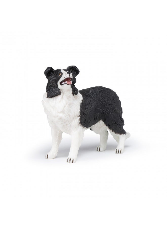 Papo - Hand-Painted - Figurine - Dogs ans Cats - Border Collie Figure-54008 - Collectible - for Children - Suitable for Boys and Girls - from 3 Years Old