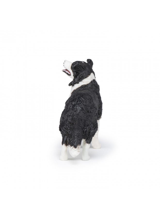 Papo - Hand-Painted - Figurine - Dogs ans Cats - Border Collie Figure-54008 - Collectible - for Children - Suitable for Boys and Girls - from 3 Years Old