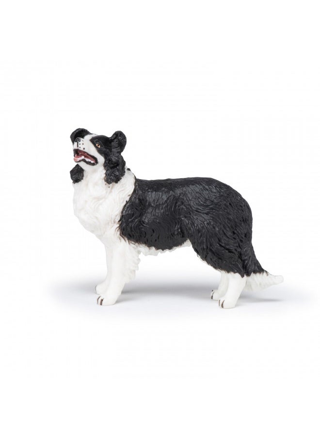 Papo - Hand-Painted - Figurine - Dogs ans Cats - Border Collie Figure-54008 - Collectible - for Children - Suitable for Boys and Girls - from 3 Years Old