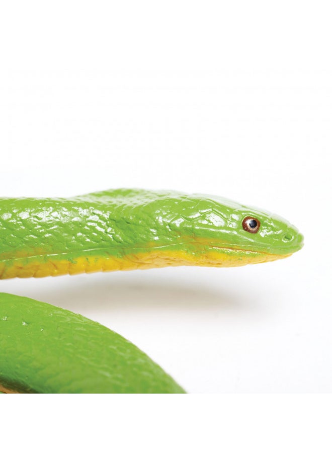 Safari Ltd. Incredible Creatures Collection - Rough Green Snake Figurine Non-toxic and BPA Free