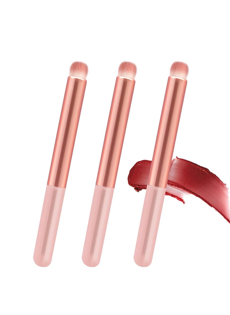 Lip Brush Lip Smudge Brushes Lipstick Brush with Tubes 3PCS Lip Gloss Applicator Wands Lip Brushes Multi-purpose Lip Makeup Brush Eyeshadow Brush Concealer Brush Lip Gloss Wands Applicator Tool Kits