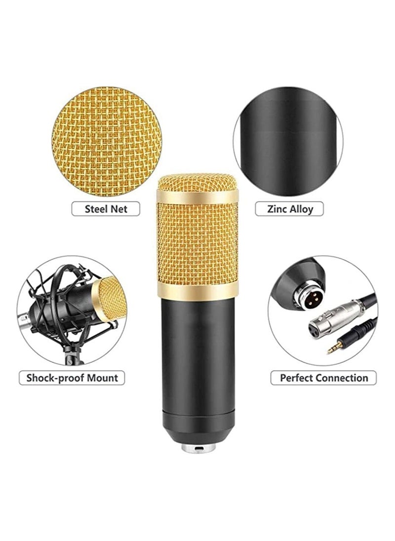 Professional BM800 Condenser Microphone Kit for PC Microphone Studio For Computer Karaoke Sound Card Recording Microphone, Auxiliary