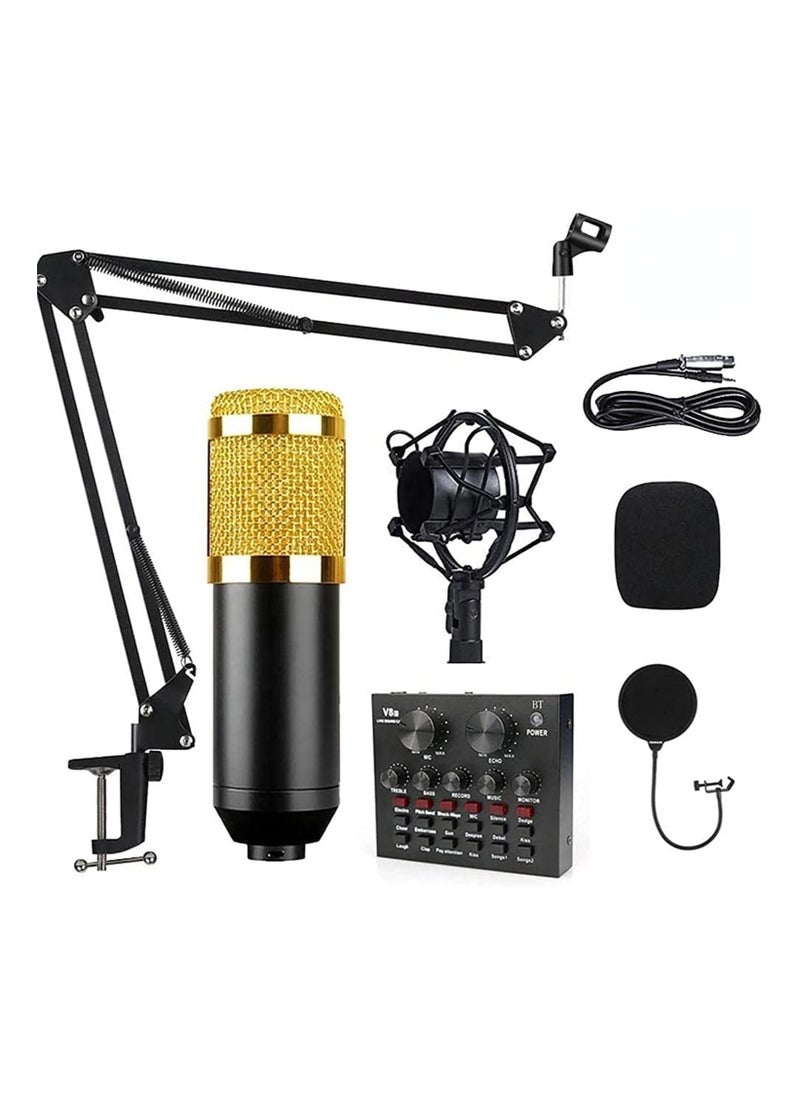 Professional BM800 Condenser Microphone Kit for PC Microphone Studio For Computer Karaoke Sound Card Recording Microphone, Auxiliary