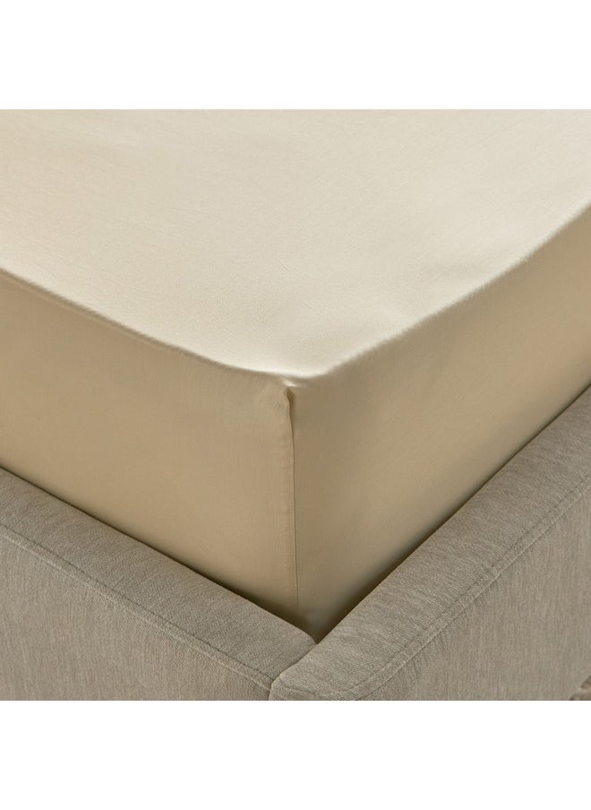 Houston Daisley Cotton Twin Fitted Sheet 120 x 200 x 33 cm