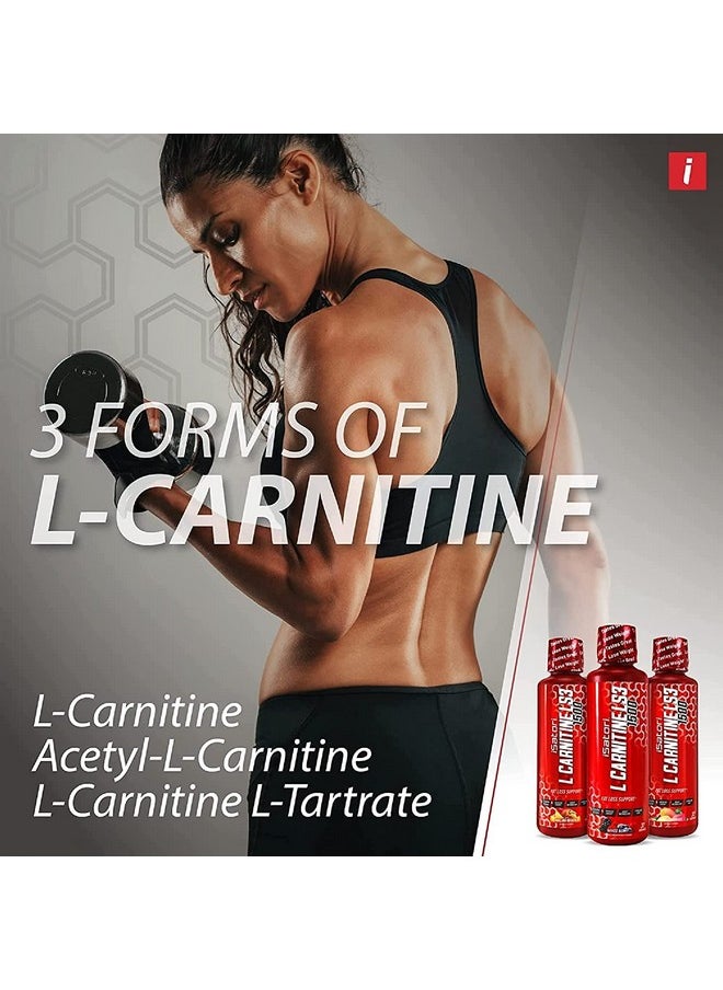 iSatori L-Carnitine LS3 3000, Liquid L-Carnitine with Acetyl L-Carnitine, L-Carnitine L-Tartrate, Stimulant Free Pre Workout, No Calories, Sugar, Gluten, Keto-Friendly, Bombsicle Flavor (32 Servings)