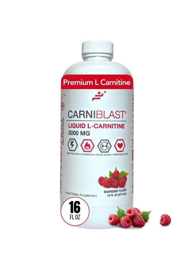 Bricker Labs CARNIBLAST Liquid L-Carnitine 3000mg, Premium L Carnitine Carnipure, Energy Nutrition, Energy Supplement and Energy Booster, Raspberry, 16 fl oz