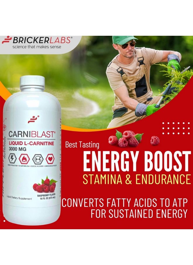 Bricker Labs CARNIBLAST Liquid L-Carnitine 3000mg, Premium L Carnitine Carnipure, Energy Nutrition, Energy Supplement and Energy Booster, Raspberry, 16 fl oz