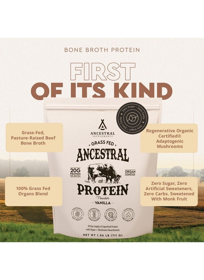 Ancestral Supplements Grass Fed Protein Powder, Vanilla, Beef Bone Broth Based with Beef Organs & Organic Mushrooms, Gut Health Support, High Protein Supplement, 20g Protein Per Serving, 30 Day Supply