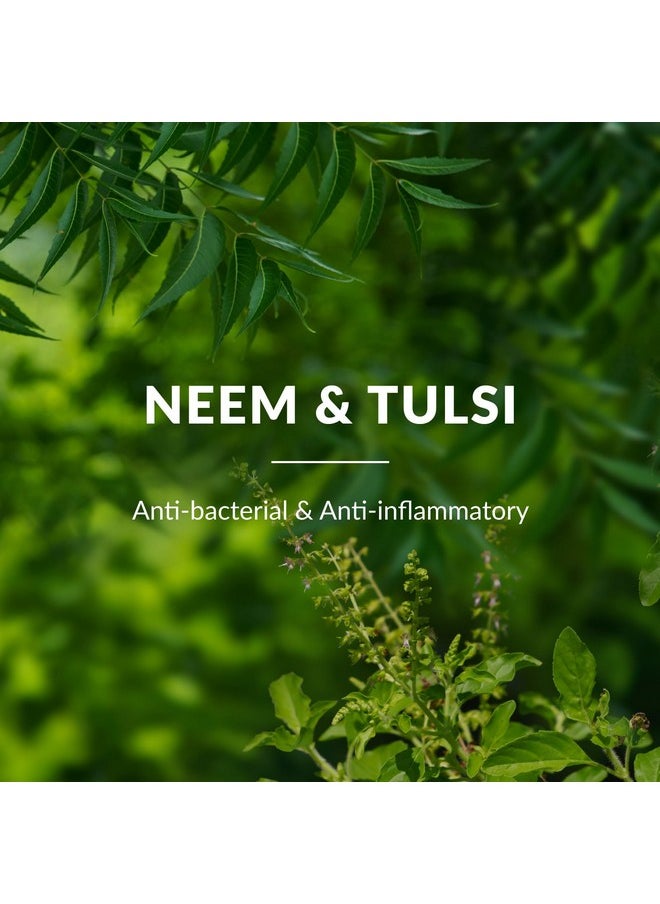 Neem, Tulsi & Salicylic Acid Anti-Acne Purifying Face Gel | Helps Prevent Acne & Pimples | Helps Reduce Skin Redness & Inflammation | No Parabens | Suitable For Acne Prone Skin | 50G