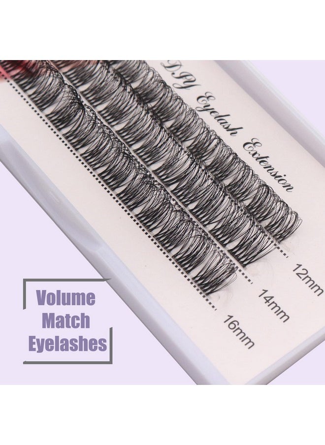 Diy Eyelash Extension Individual Lashes With Clear Band D Curl Lash Extension Strip 39 Clusters Reusable Wispy False Eyelashes For Personal Diy At Home / Fd02 12-16Mm