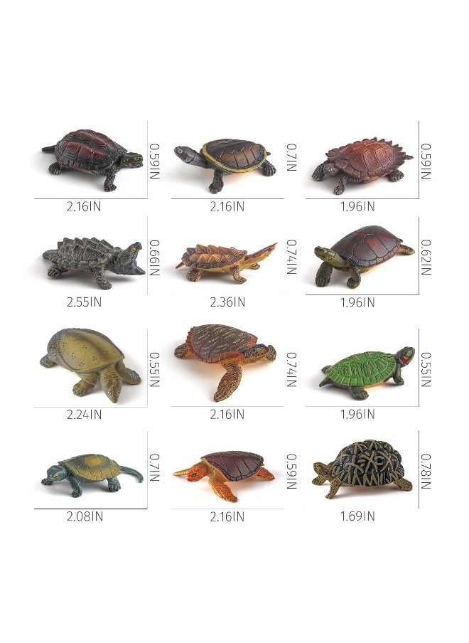 Tortoise Wild Animal Model Figure Playsets, 12 PCS Realistic Snapping Turtle Grass Turtle Like Water Turtle Figurines Ornament Education Cognitive Toy for Boys Girls Kids