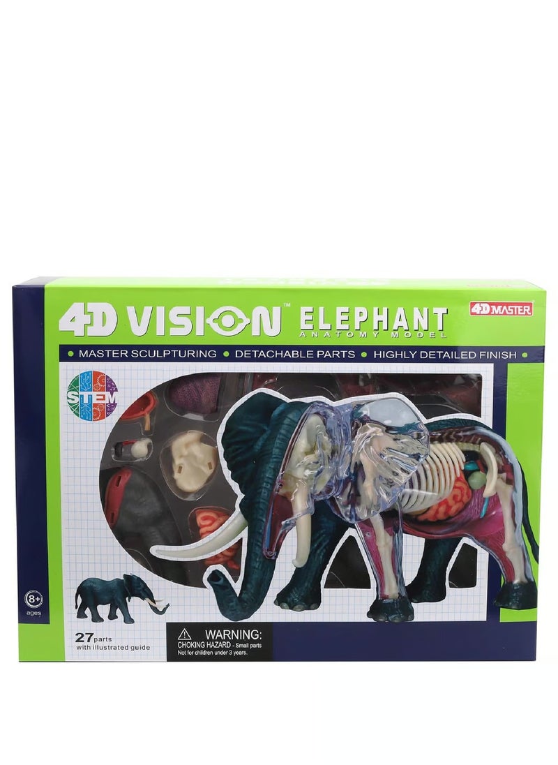 Chapmei 4D Elephant Anatomy