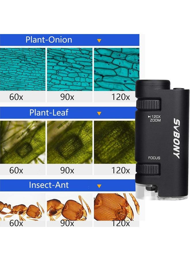 bluejw SV603 Pocket Microscope 60x-120x, Portable Handheld Microscope with LED Lighted Zoom, Mini Microscope for Students Learning, Education and Exploring