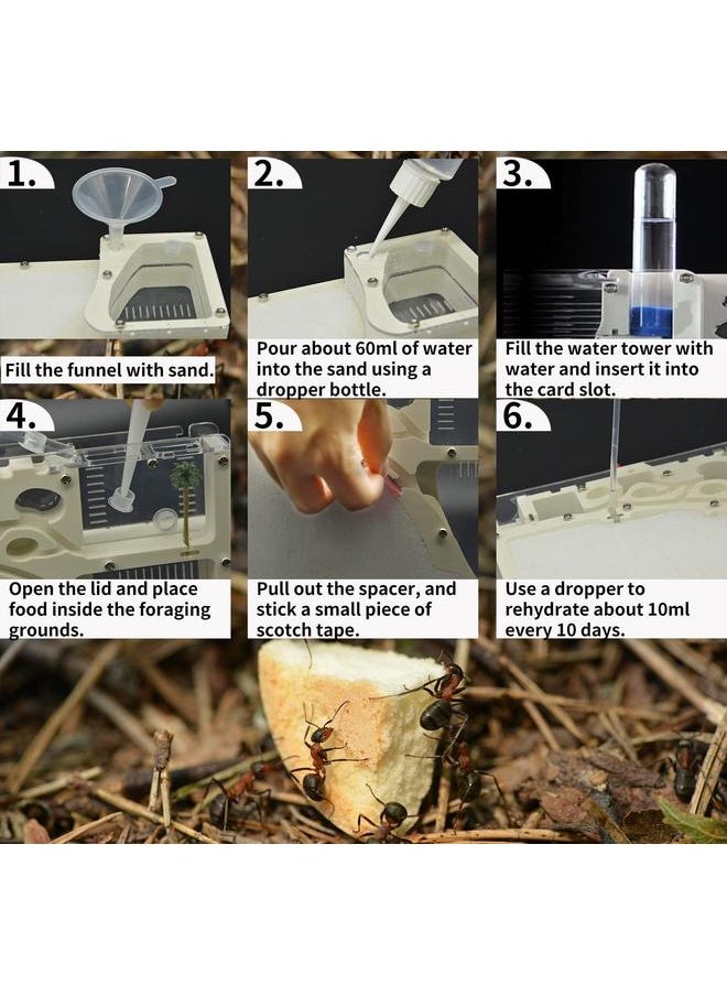 Ant Farming Castle, Habitat Science Learning Kit, Farms for Live Ants, Colony Educational Toy Kit Kids